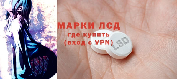 прущие грибы Алзамай