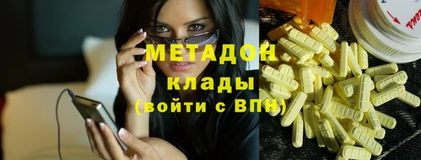 прущие грибы Алзамай