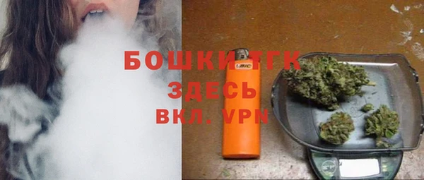apvp Алексин