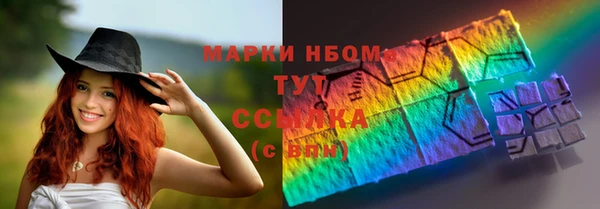 прущие грибы Алзамай