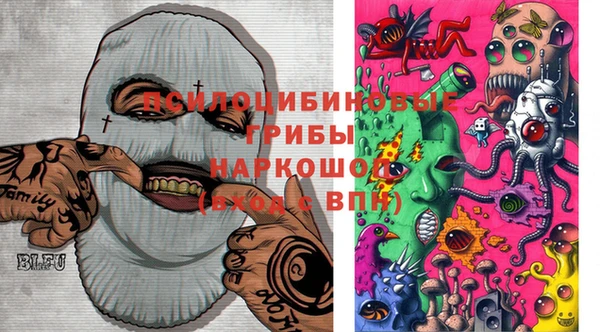 прущие грибы Алзамай